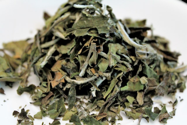 Green tea